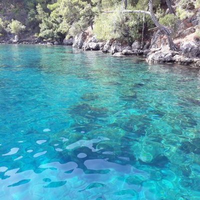 Fethiye Özel Tekne Turu | Bora